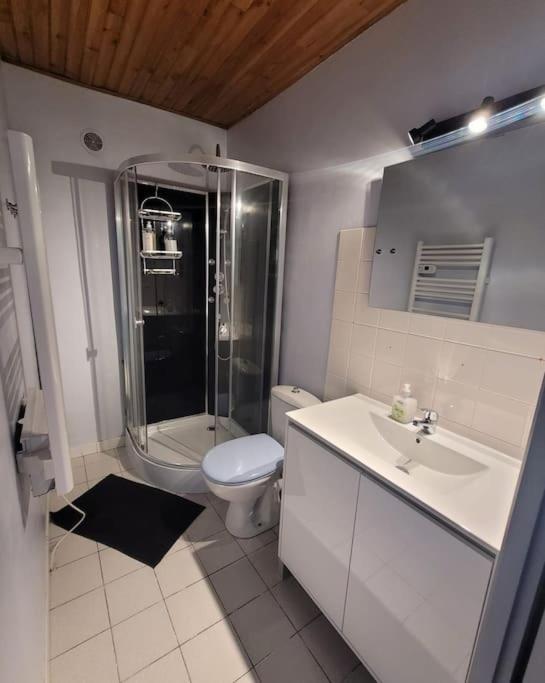 Appartement Calme Vizille Εξωτερικό φωτογραφία